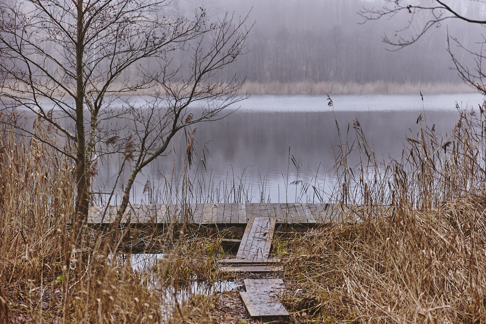GOŚCINIEC JACZNO SPÓŁKA AKCYJNA - Zdjęcie 1